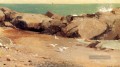 Rocky Küste und Möwen Realismus Marinemaler Winslow Homer